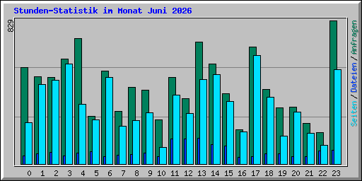 Stunden-Statistik im Monat Juni 2026